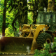 Image for article titled Studio Ghibli Theme Park Opening Delayed After Construction Site Overrun With Curious Forest Sprites